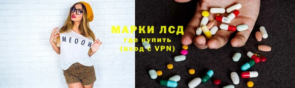 стаф Медногорск