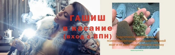 стаф Медногорск