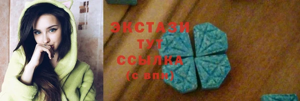стаф Медногорск