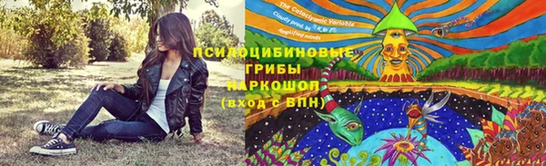 мет Медвежьегорск