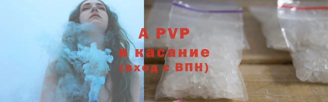 стаф Медногорск