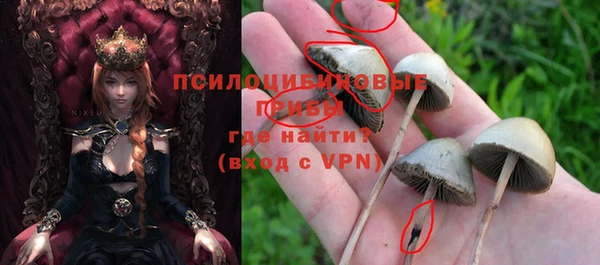 стаф Медногорск