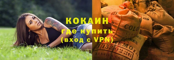 стаф Медногорск