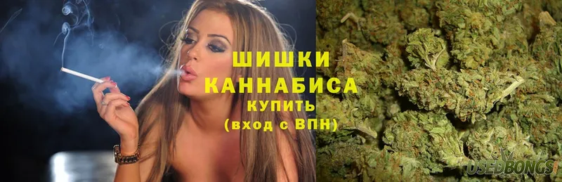 Конопля Amnesia  магазин продажи   Красноуральск 